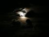 Fly me to the Moon